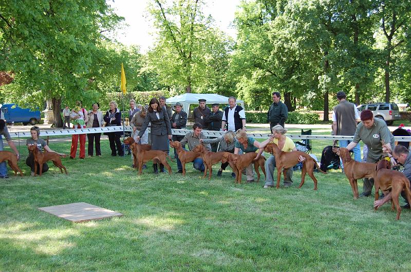 DSC_0471.JPG - Soutěž o Nejlepší chovatelskou skupinu - ChS z Tišnovských revírů (zleva: Aszu,Anett,Arany,Bertha,Bora,Brown)