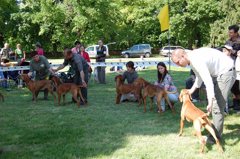 DSC_0473.JPG - Soutěž o Nejlepší chovatelskou skupinu - ChS z Panských lesů (zleva: Baron Faust,Glen,Gaila,Hirkash,Hejira) - Nejlepší chovatelská skupina klubové výstavy