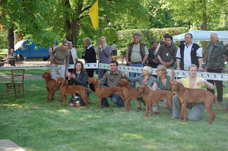 DSC_0481.JPG - Soutěž o Nejlepší chovatelskou skupinu - ChS z Tišnovských revírů (zleva: Aszu,Anett,Arany,Bertha,Bora,Brown)