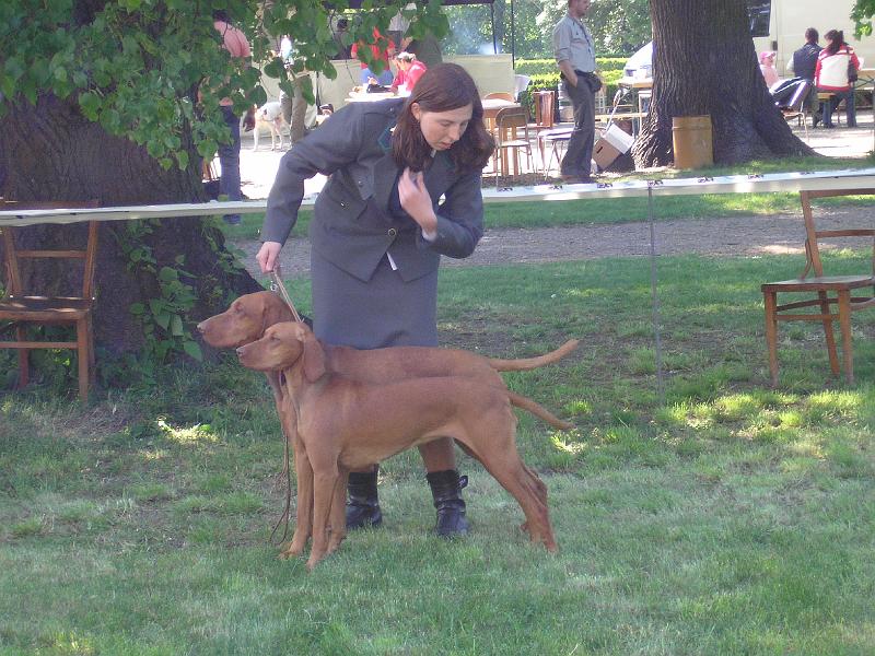 P5101648.JPG - ICh.Dan z Vlčí hráze + Ch.Anett z Tišnovských revírů - Nejlepší pár klubové výstavy